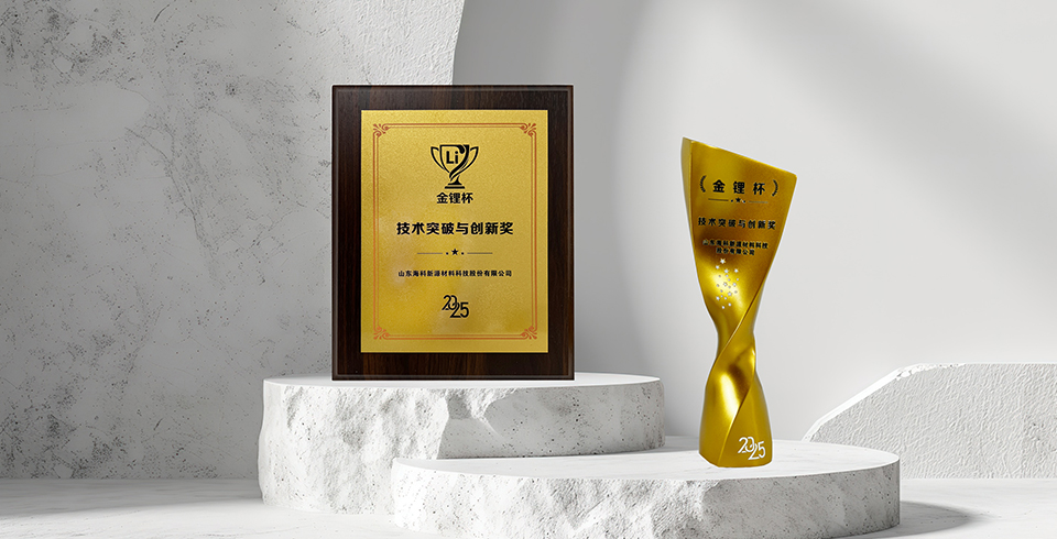 喜报 | 乐鱼官方网站-乐鱼leyu（中国）荣获真锂研究“技术突破与创新奖”